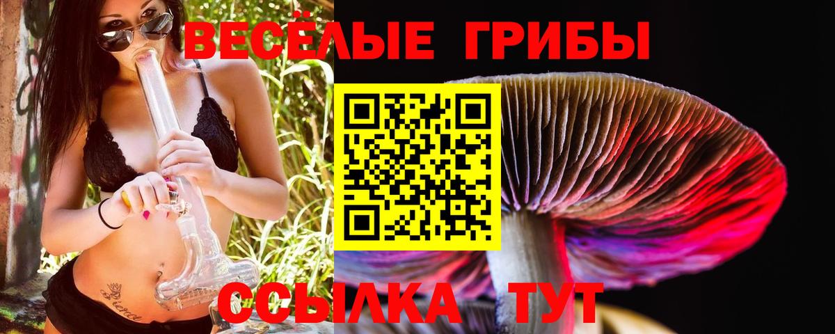 Псилоцибиновые грибы MAGIC MUSHROOMS  Вход с VPN  Переславль-Залесский 