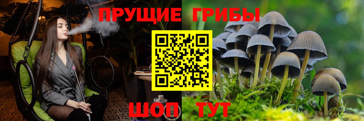 Галлюциногенные грибы мицелий Переславль-Залесский